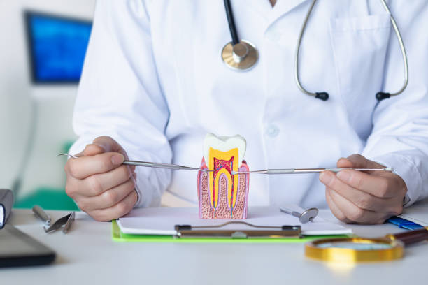  St Marys, WV Emergency Dentist Pros